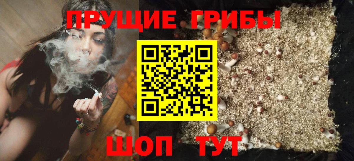 Нововоронеж  Галлюциногенные грибы мицелий  Псилоцибиновые грибы GOLDEN TEACHER  Вход с VPN 