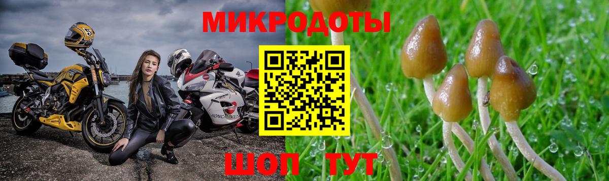Псилоцибиновые грибы ЛСД Нововоронеж